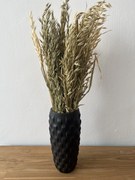 Pampas Avena 60 cm