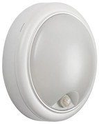 Rabalux 77029 - Aplica LED exterior cu senzor, 15W, 230V, IP54