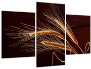 Tablou - Spic în prim plan (90x60 cm)