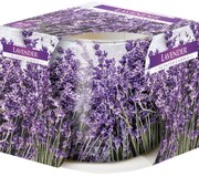 Lumânare parfumată în sticlă Lavender, 100 g, 7,2 cm