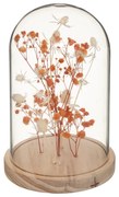 Flori uscate sub clopot de sticla FLOWER BELL, inaltime 17 cm Culoare: Portocaliu