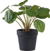 Plantă artificială Panselia (verde). Promo -13%. 1147283