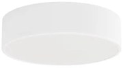 Plafonieră pentru baie CLARE 2xE27/24W/230V d. 30 cm alb IP54 Brilagi