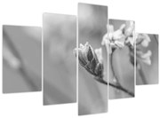 Tablou - Floare înflorită (150x105 cm)