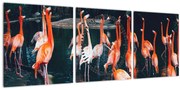 Tablou - turmă de flamingo (cu ceas) (90x30 cm)