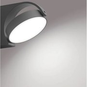 Aplică LED de exterior MIMOSA LED/7W/230V 4000K IP44 Philips