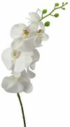 Falenopsis artificială albă, 86 cm