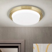Plafoniera LED moderna LEROX 20cm alama antique