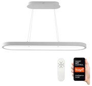 Lustră LED pe cablu dimabilă HIPODROMO LED/66W/230V Tuya Immax NEO 07077L