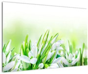 Tablou - Ghiocei (90x60 cm)