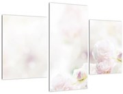 Tablou cu flori fragede (90x60 cm)