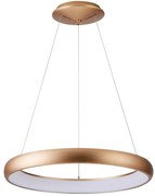 Lustră LED dimabilă pe cablu ANTONIO LED/80W/230V auriu Azzardo AZ5067 + telecomandă