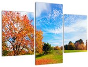 Tablou - Peisaj de toamnă (90x60 cm)
