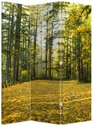 Paravan - Pădurea toamna (126x170 cm)