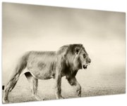 Tablou - Leul flămând (90x60 cm)