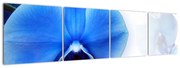 Tablou modern (160x40cm)