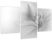 Tablou - Crin delicat (90x60 cm)