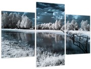 Tablou - Peisaj înghețat (90x60 cm)