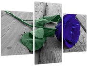 Tablou - Trandafir albastru cu tulpina verde (90x60 cm)