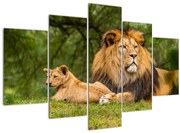 Tablou cu lei (150x105 cm)