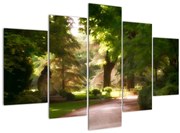 Tablou cu parc (150x105 cm)