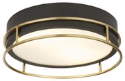 Plafoniera pentru baie cu protectie IP44 Phoenix 2Lt