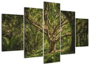 Tablou cu copaci (150x105 cm)