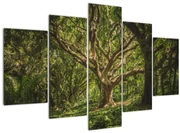 Tablou cu copaci (150x105 cm)