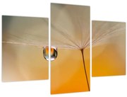 Tablou - Flori macro (90x60 cm)