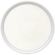 Plafonieră LED/24W/230V 3000/4000/6500K Ø 30 cm alb