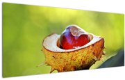 Tablou cu castani (120x50 cm)