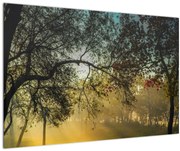 Tablou cu răsărit de soare (90x60 cm)