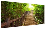 Tablou de vară cu scâri în natură (120x50 cm), în 40 de alte dimensiuni noi