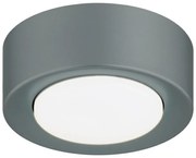 Spot tavan, Mini plafoniera ELORA 8917 night sage