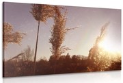 Tablou atmosfera toamnei