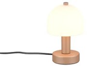 Veioza clasica E14 GLENN R51961065 Trio