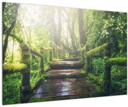 Tablou - trepte din lemn în pădure (90x60 cm)