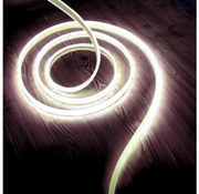 Bandă LED/50W/12V 5 m 6500K