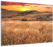 Tablou cu câmp (70x50 cm)