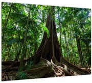 Tablou - Rădăcinile copacului (70x50 cm)