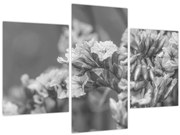 Tablou - Flori uscate (90x60 cm)