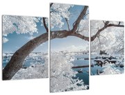 Tablou cu copac înzăpezit lângă apă (90x60 cm)