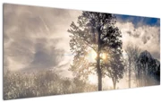 Tablou cu copac în ceață (120x50 cm)