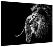Tablou - Leu (70x50 cm)