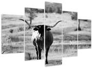 Tablou - Vacă,alb-negru (150x105 cm)