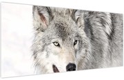 Tablou - Lupul în natură (120x50 cm)
