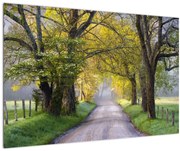 Tablou - Smoky Mountains, Gatlinburg, SUA (90x60 cm)