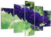 Tablou cu floare albastră (150x105 cm)