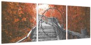 Tablou - Scări în natură, portocaliu (cu ceas) (90x30 cm)