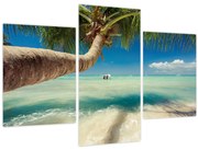 Tablou - Mare curată cu palmier (90x60 cm)